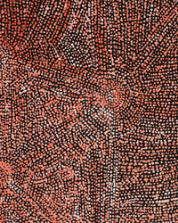 Aboriginal Artwork by Sarah Napurrurla Leo, Ngapa Jukurrpa (Water Dreaming) - Puyurru, 61x46cm