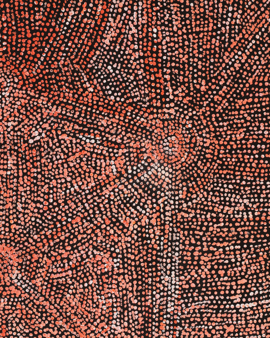Aboriginal Artwork by Sarah Napurrurla Leo, Ngapa Jukurrpa (Water Dreaming) - Puyurru, 61x46cm