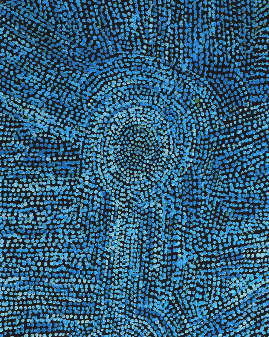 Aboriginal Artwork by Sarah Napurrurla Leo, Ngapa Jukurrpa (Water Dreaming) - Puyurru, 76x30cm