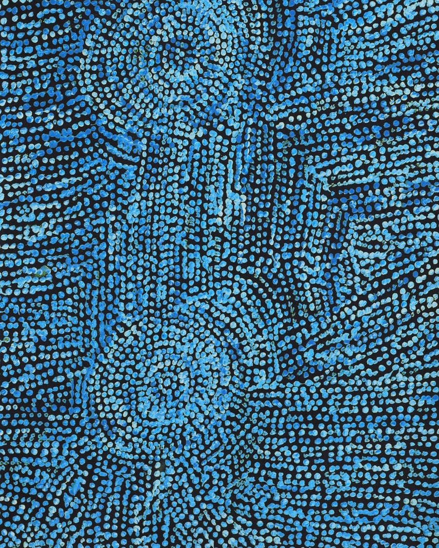 Aboriginal Artwork by Sarah Napurrurla Leo, Ngapa Jukurrpa (Water Dreaming) - Puyurru, 76x30cm