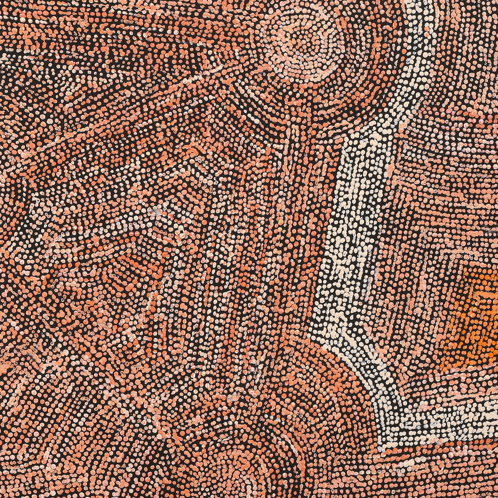 Aboriginal Artwork by Sarah Napurrurla Leo, Ngapa Jukurrpa (Water Dreaming) - Puyurru, 91x91cm