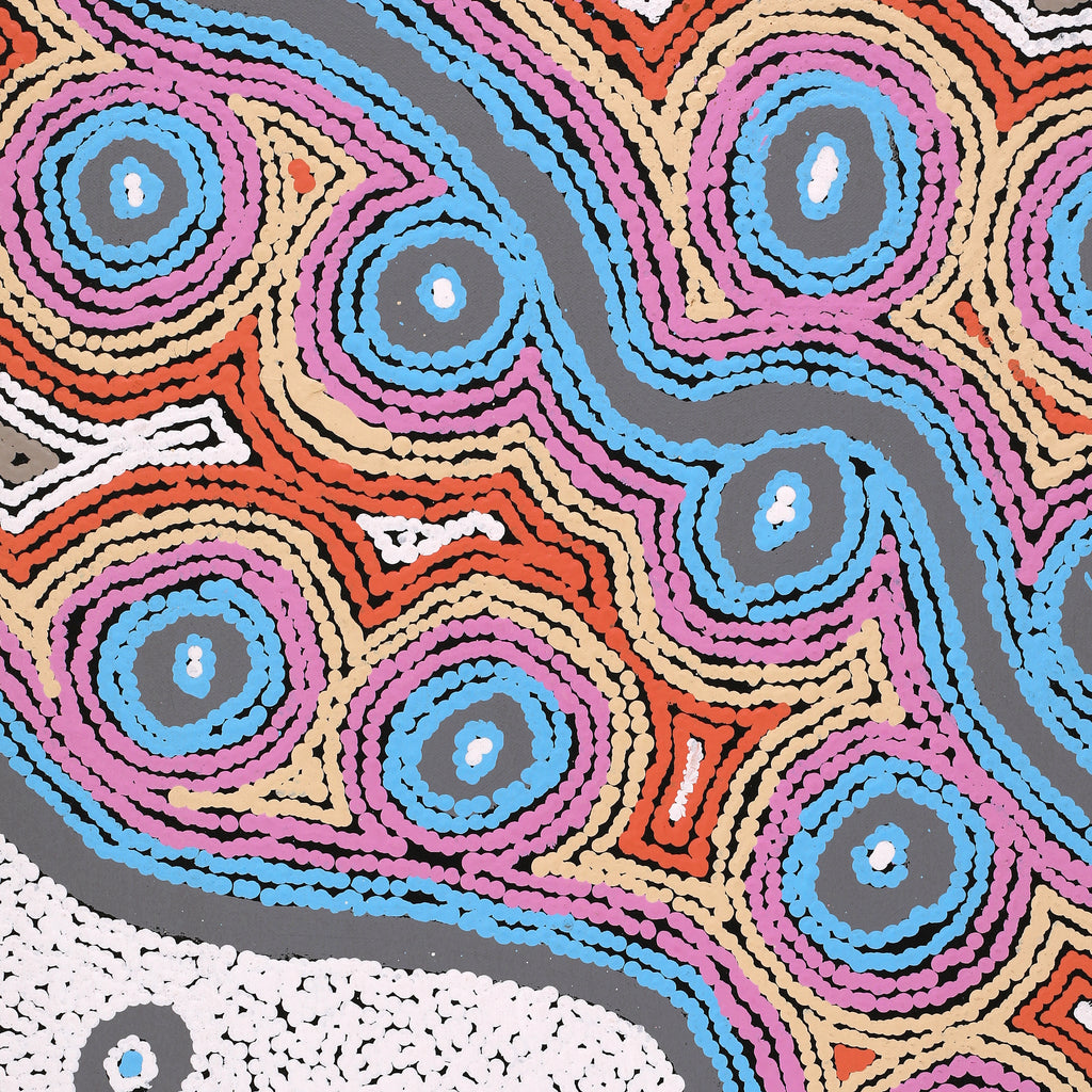 Aboriginal Artwork by Sarah Napaljarri Simms, Mina Mina Jukurrpa (Mina Mina Dreaming), 61x46cm