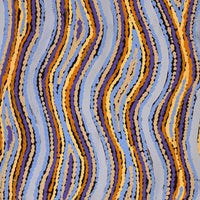 Aboriginal Artwork by Sarah Napaljarri Simms, Mina Mina Jukurrpa (Mina Mina Dreaming), 61x46cm
