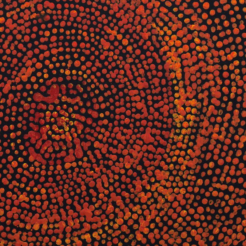 Aboriginal Artwork by Sarah Napurrurla Leo, Ngapa Jukurrpa (Water Dreaming) - Puyurru, 30x30cm