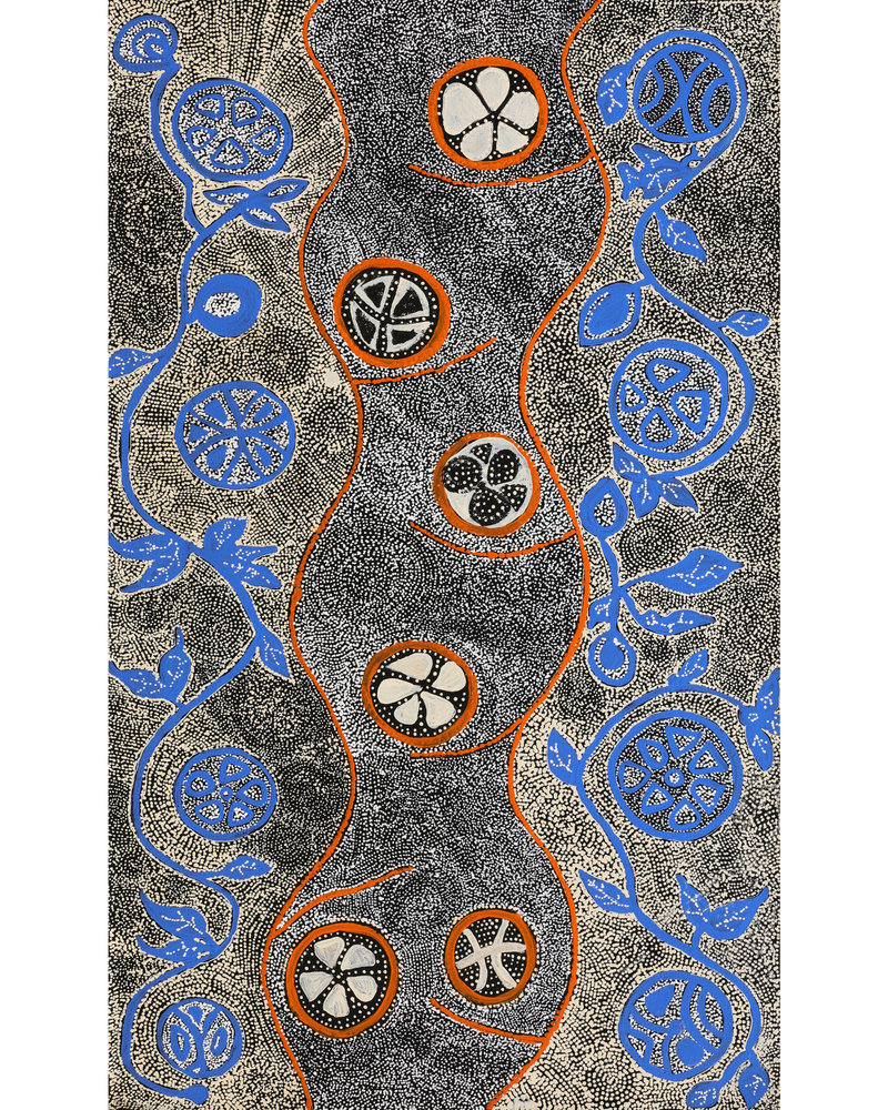 Aboriginal Artwork by Selma Napanangka Tasman, Wanakiji Jukurrpa (Bush Tomato Dreaming), 76x46cm