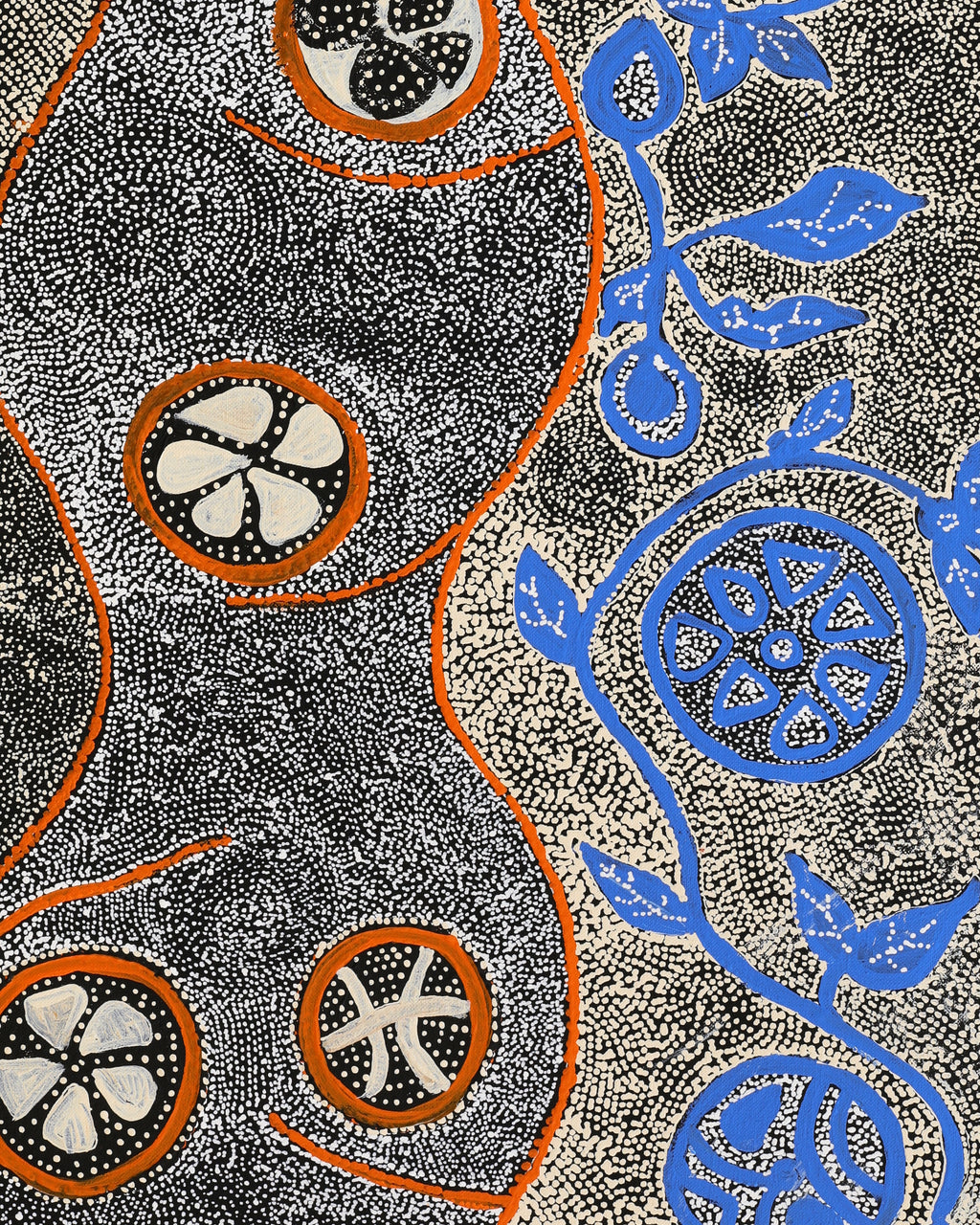 Selma Napanangka Tasman, Wanakiji Jukurrpa (Bush Tomato Dreaming), 76x46cm