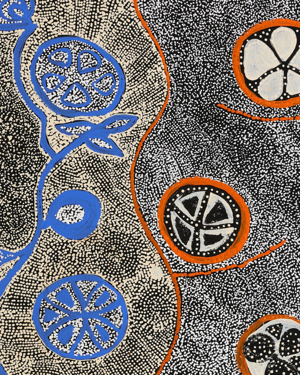 Selma Napanangka Tasman, Wanakiji Jukurrpa (Bush Tomato Dreaming), 76x46cm