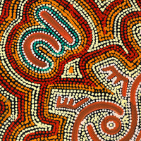 Aboriginal Artwork by Sebastian Japanangka Williams, Wardapi Jukurrpa (Goanna Dreaming) - Yarripurlangu, 50x40cm