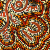 Aboriginal Artwork by Sebastian Japanangka Williams, Wardapi Jukurrpa (Goanna Dreaming) - Yarripurlangu, 50x40cm