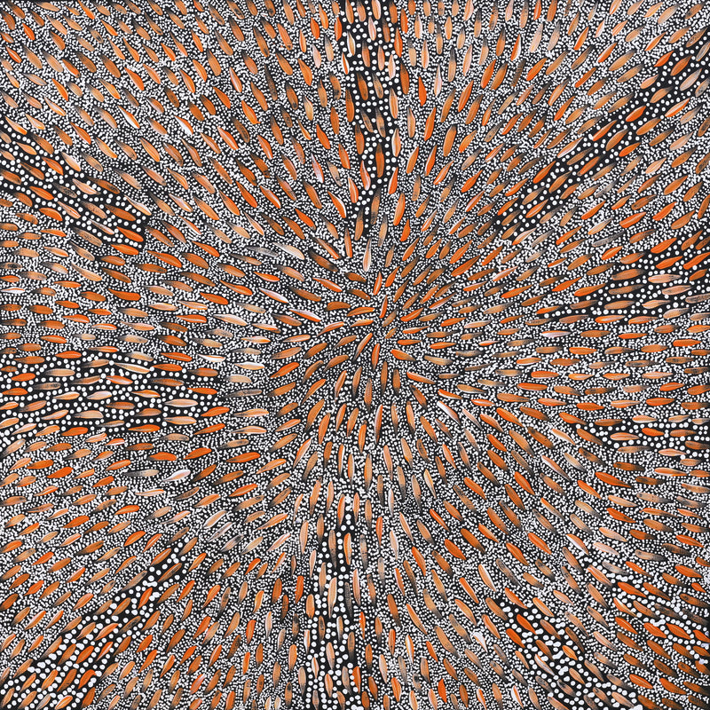 Aboriginal Artwork by Sebastian Jupurrurla Wilson, Wardapi Jukurrpa (Goanna Dreaming) - Yarripilangu, 76x76cm