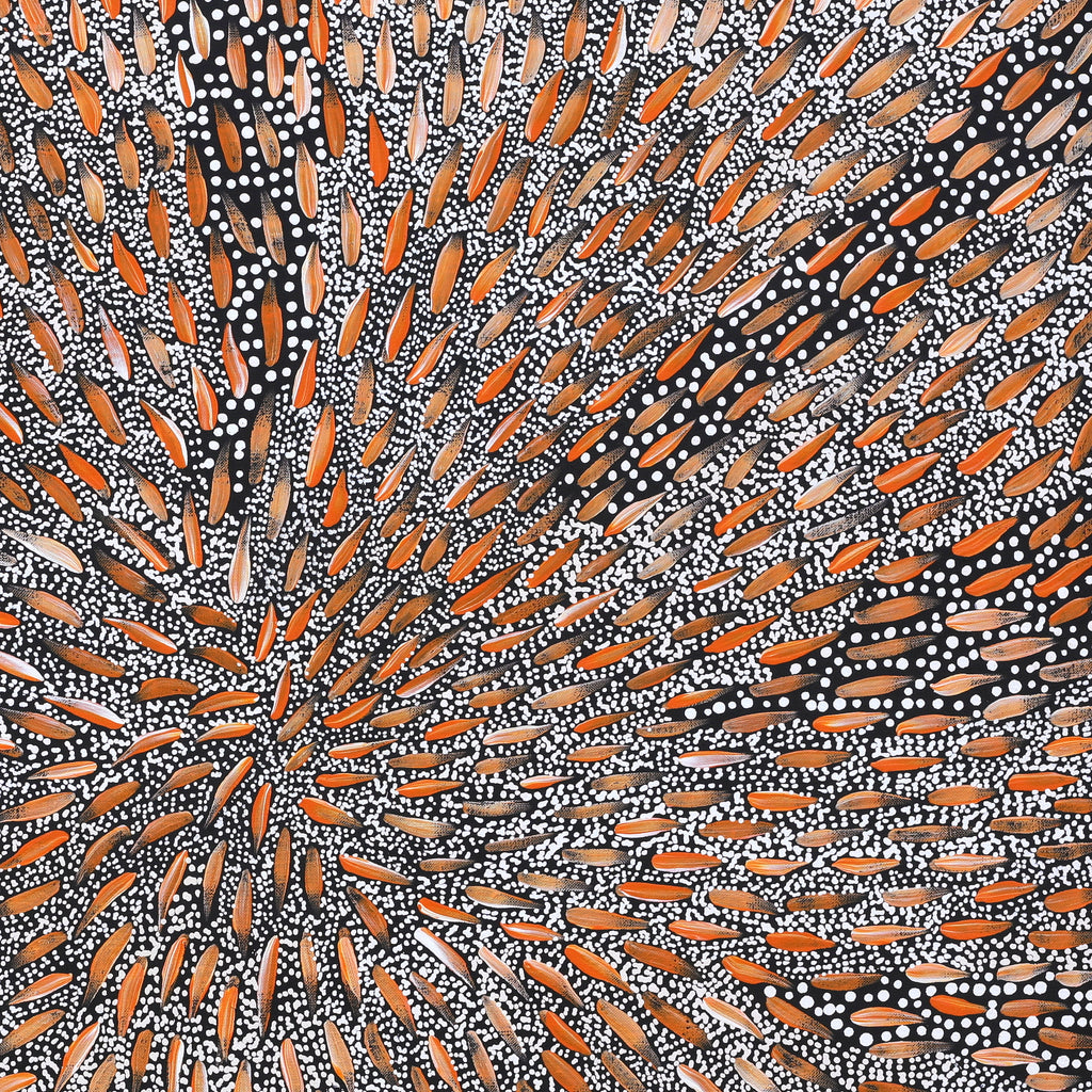 Sebastian Jupurrurla Wilson, Wardapi Jukurrpa (Goanna Dreaming) - Yarripilangu, 76x76cm