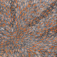 Sebastian Jupurrurla Wilson, Wardapi Jukurrpa (Goanna Dreaming) - Yarripilangu, 76x76cm