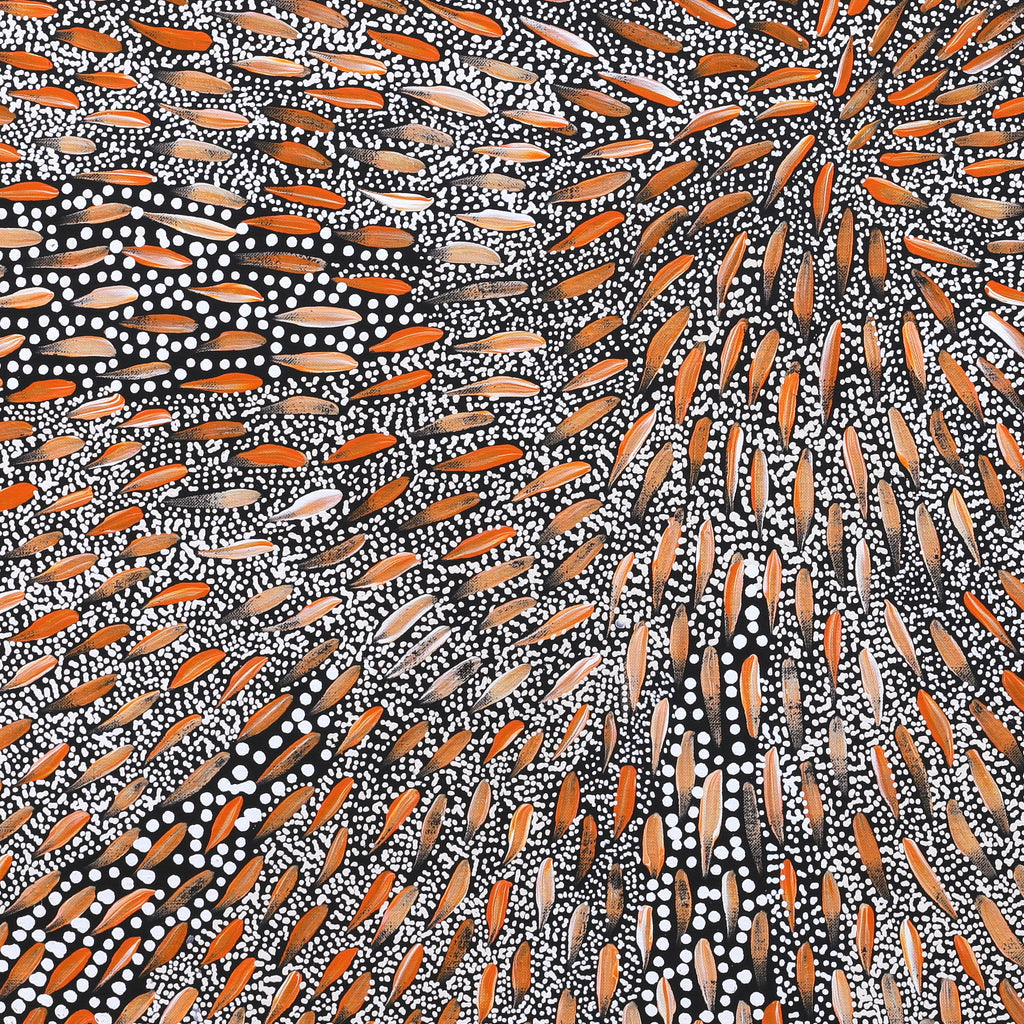 Sebastian Jupurrurla Wilson, Wardapi Jukurrpa (Goanna Dreaming) - Yarripilangu, 76x76cm