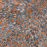 Sebastian Jupurrurla Wilson, Wardapi Jukurrpa (Goanna Dreaming) - Yarripilangu, 76x76cm