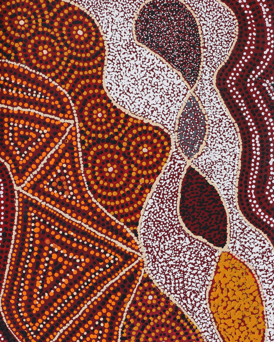 Aboriginal Artwork by Selma Napanangka Tasman, Wanakiji Jukurrpa (Bush Tomato Dreaming), 76x30cm
