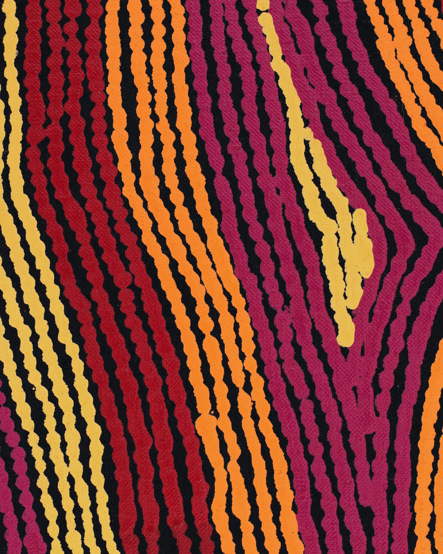 Aboriginal Artwork by Selina Napanangka Fisher, Pikilyi Jukurrpa (Vaughan Springs Dreaming), 152x107cm