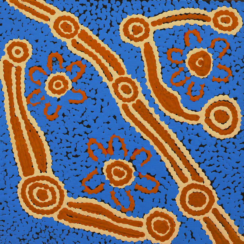 Aboriginal Artwork by Selina Napanangka Fisher, Pikilyi Jukurrpa (Vaughan Springs Dreaming), 30x30cm