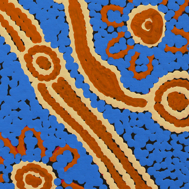Aboriginal Artwork by Selina Napanangka Fisher, Pikilyi Jukurrpa (Vaughan Springs Dreaming), 30x30cm