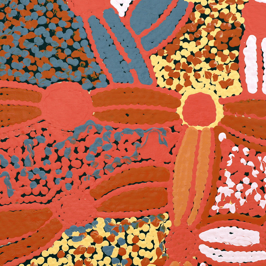 Aboriginal Artwork by Selina Napanangka Fisher, Pikilyi Jukurrpa (Vaughan Springs Dreaming), 40x40cm