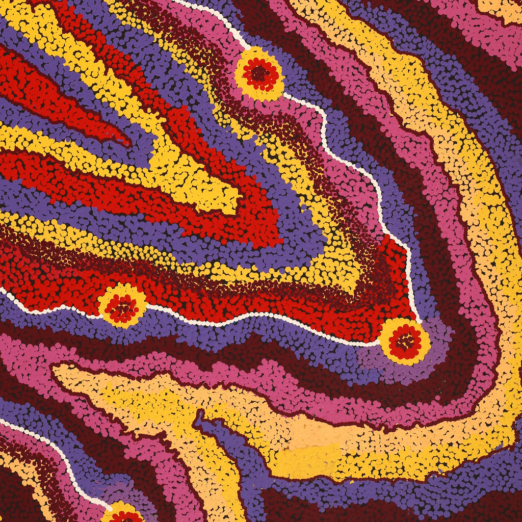 Aboriginal Art by Selina Napanangka Fisher, Pikilyi Jukurrpa (Vaughan Springs Dreaming), 122x76cm - ART ARK®