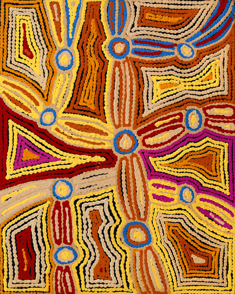 Aboriginal Artwork by Selina Napanangka Fisher, Pikilyi Jukurrpa (Vaughan Springs Dreaming), 50x40cm
