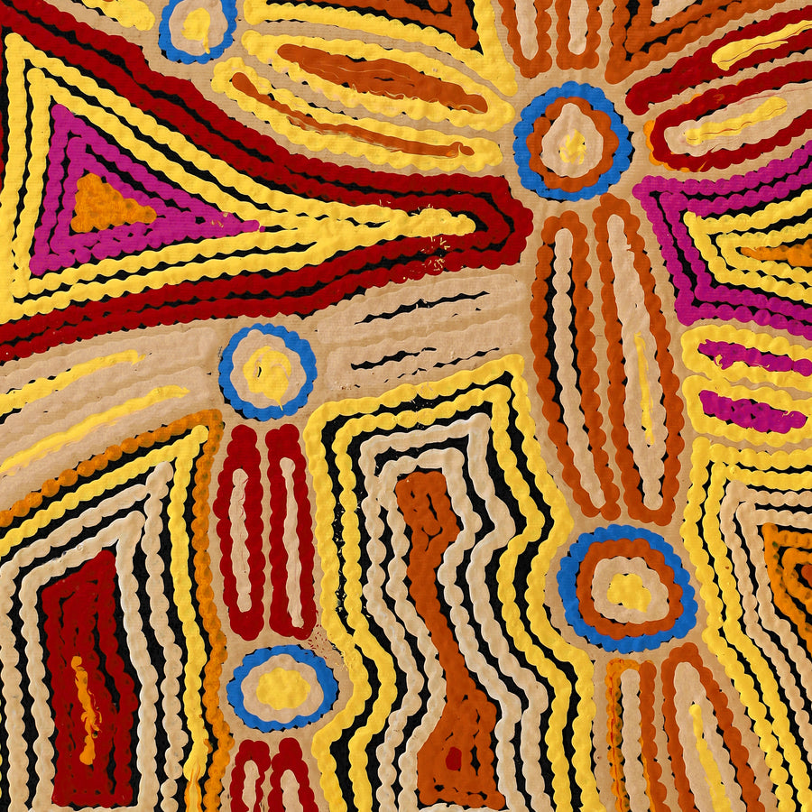 Aboriginal Artwork by Selina Napanangka Fisher, Pikilyi Jukurrpa (Vaughan Springs Dreaming), 50x40cm