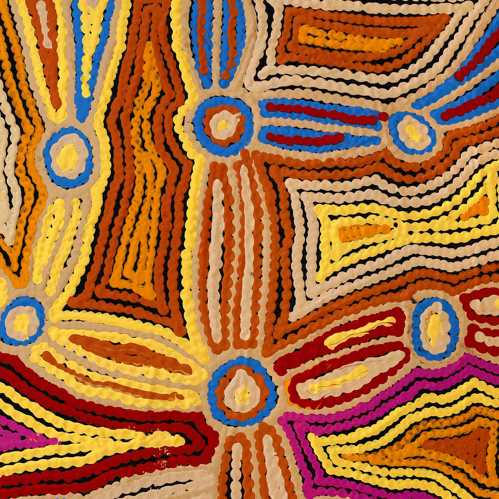 Aboriginal Artwork by Selina Napanangka Fisher, Pikilyi Jukurrpa (Vaughan Springs Dreaming), 50x40cm