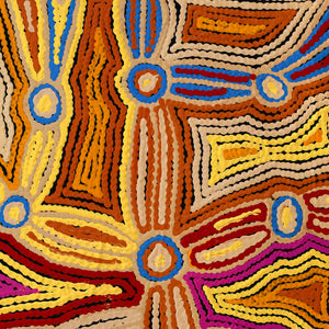 Aboriginal Artwork by Selina Napanangka Fisher, Pikilyi Jukurrpa (Vaughan Springs Dreaming), 50x40cm - ART ARK®