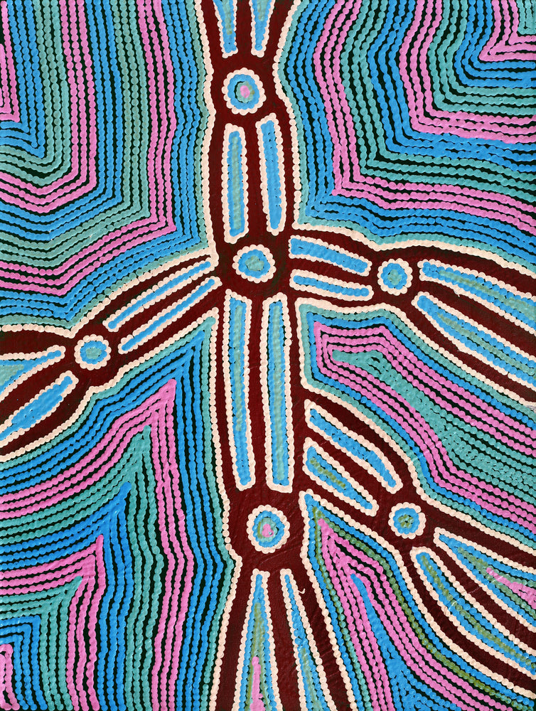 Aboriginal Artwork by Selina Napanangka Fisher, Pikilyi Jukurrpa (Vaughan Springs Dreaming), 61x46cm