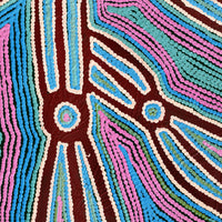 Aboriginal Artwork by Selina Napanangka Fisher, Pikilyi Jukurrpa (Vaughan Springs Dreaming), 61x46cm