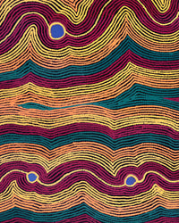Aboriginal Artwork by Selina Napanangka Fisher, Pikilyi Jukurrpa (Vaughan Springs Dreaming), 76x61cm