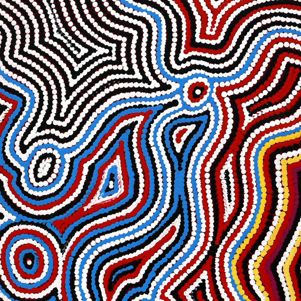 Aboriginal Artwork by Selina Napanangka Fisher, Pikilyi Jukurrpa (Vaughan Springs Dreaming), 76x46cm