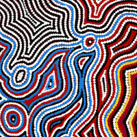 Aboriginal Artwork by Selina Napanangka Fisher, Pikilyi Jukurrpa (Vaughan Springs Dreaming), 76x46cm