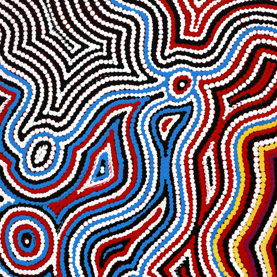 Aboriginal Artwork by Selina Napanangka Fisher, Pikilyi Jukurrpa (Vaughan Springs Dreaming), 76x46cm