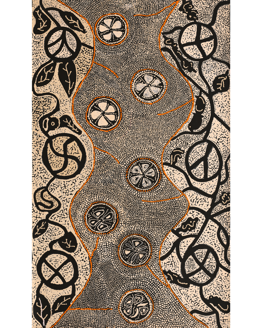 Aboriginal Artwork by Selma Napanangka Tasman, Wanakiji Jukurrpa (Bush Tomato Dreaming), 76x46cm