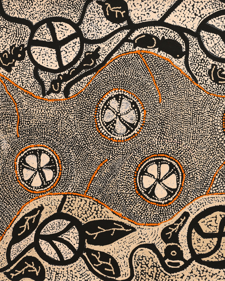 Aboriginal Artwork by Selma Napanangka Tasman, Wanakiji Jukurrpa (Bush Tomato Dreaming), 76x46cm