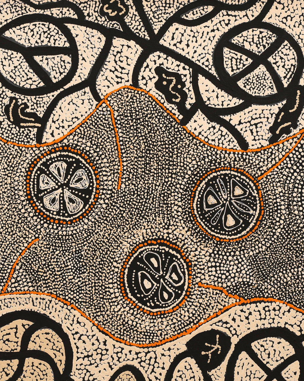 Aboriginal Artwork by Selma Napanangka Tasman, Wanakiji Jukurrpa (Bush Tomato Dreaming), 76x46cm