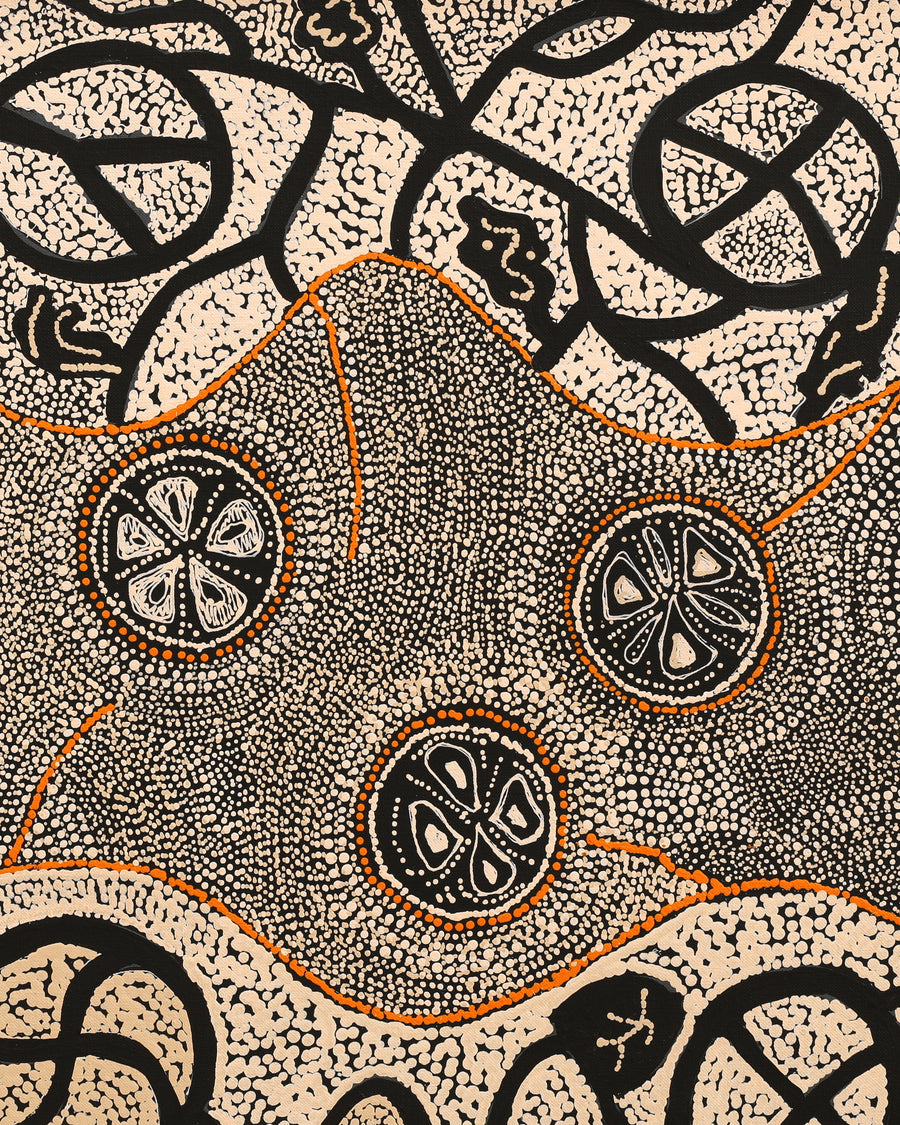 Aboriginal Artwork by Selma Napanangka Tasman, Wanakiji Jukurrpa (Bush Tomato Dreaming), 76x46cm