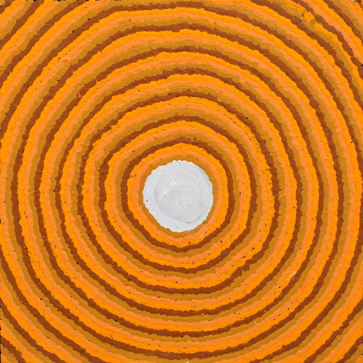 Aboriginal Artwork by Senana Napurrurla Walker, Pirlarla Jukurrpa (Dogwood Tree Bean Dreaming), 30x30cm