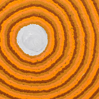 Aboriginal Artwork by Senana Napurrurla Walker, Pirlarla Jukurrpa (Dogwood Tree Bean Dreaming), 30x30cm