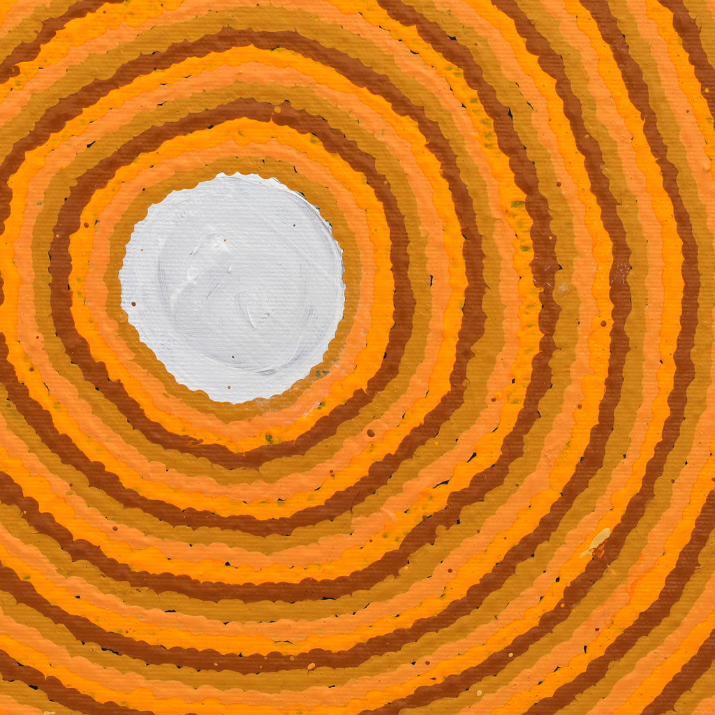 Aboriginal Artwork by Senana Napurrurla Walker, Pirlarla Jukurrpa (Dogwood Tree Bean Dreaming), 30x30cm