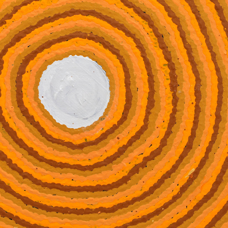 Aboriginal Artwork by Senana Napurrurla Walker, Pirlarla Jukurrpa (Dogwood Tree Bean Dreaming), 30x30cm