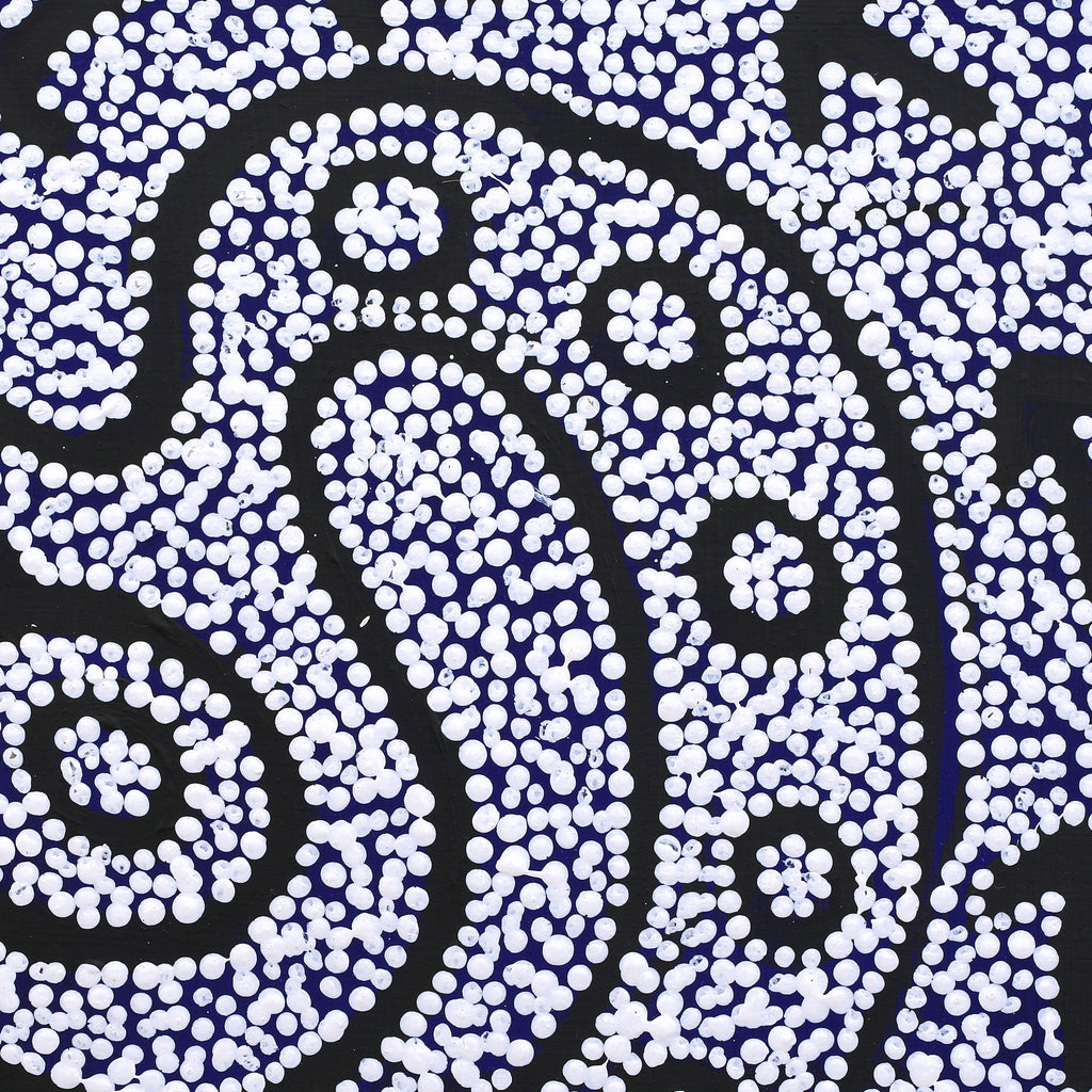 Aboriginal Artwork by Shakira Napaljarri Morris, Yankirri Jukurrpa (Emu Dreaming) - Ngarlikirlangu, 30x30cm