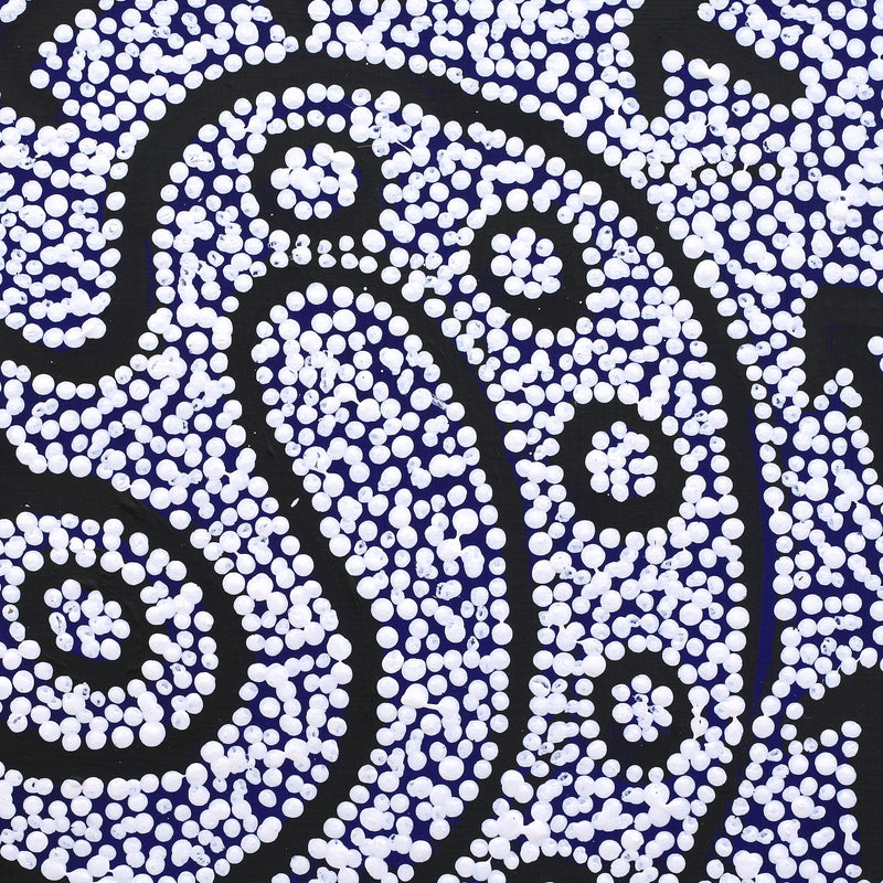 Aboriginal Artwork by Shakira Napaljarri Morris, Yankirri Jukurrpa (Emu Dreaming) - Ngarlikirlangu, 30x30cm