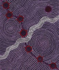 Aboriginal Artwork by Shanna Napanangka Williams, Seven Sisters Dreaming, 107x91cm