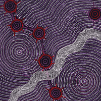 Aboriginal Artwork by Shanna Napanangka Williams, Seven Sisters Dreaming, 107x91cm