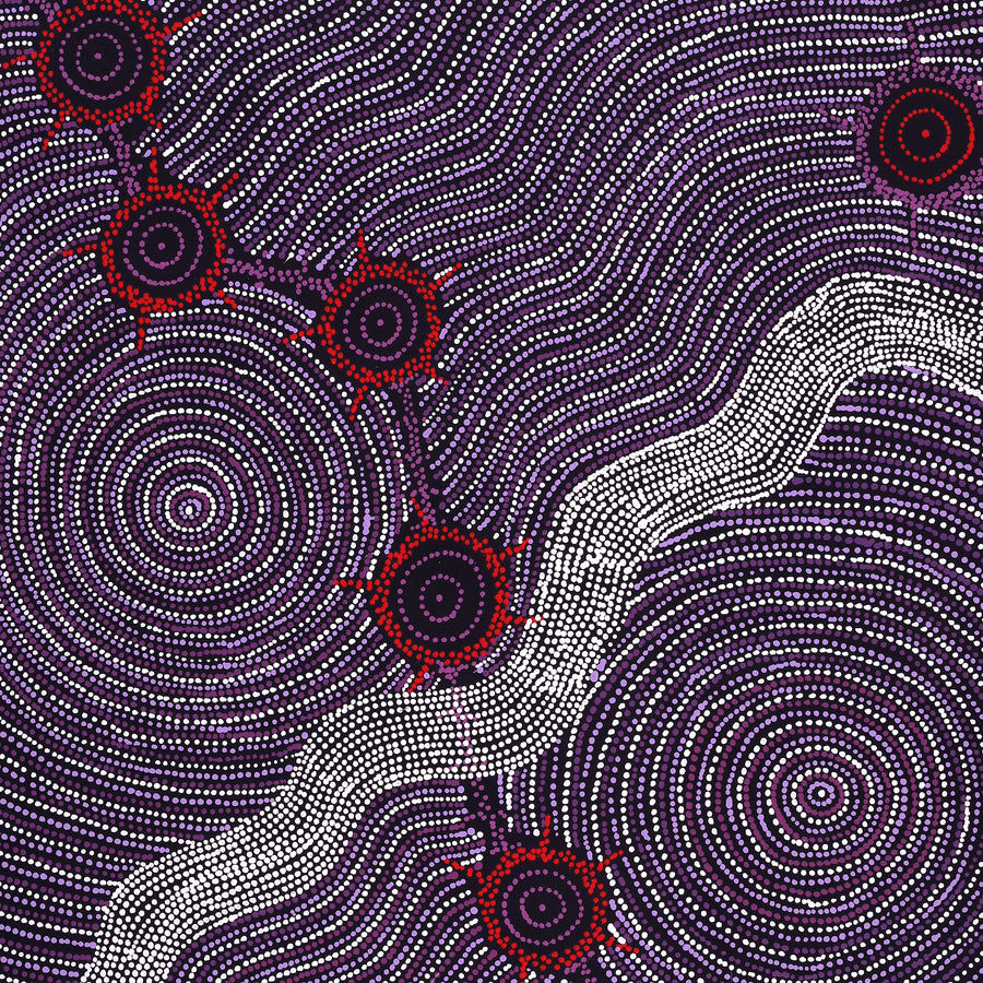 Aboriginal Artwork by Shanna Napanangka Williams, Seven Sisters Dreaming, 107x91cm