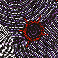 Aboriginal Artwork by Shanna Napanangka Williams, Seven Sisters Dreaming, 107x91cm
