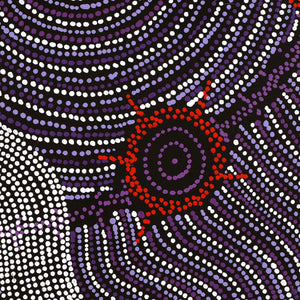 Aboriginal Art by Shanna Napanangka Williams, Seven Sisters Dreaming, 107x91cm - ART ARK®