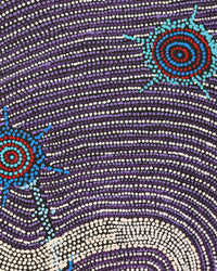 Aboriginal Artwork by Shanna Napanangka Williams, Seven Sisters Dreaming, 152x61cm